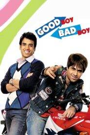 Good Boy, Bad Boy (2007) Hindi HD