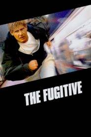 The Fugitive (1993) Hindi Dubbed