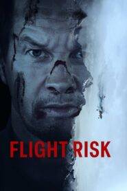 Flight Risk (2025) HQ Hindi Dubbed