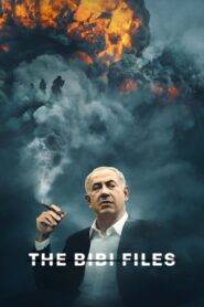 The Bibi Files (2024) Hindi Dubbed