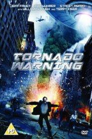 Alien Tornado (2012) HIndi Dubebd