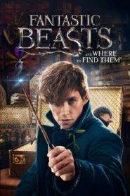 Fantastic Beasts and Where to Find Them (2016) Hindi Dubbed