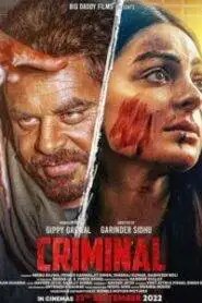 The Criminal (2022) Punjabi HD