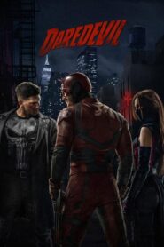 Marvels Daredevil (2016) Hindi Season 2 Complete